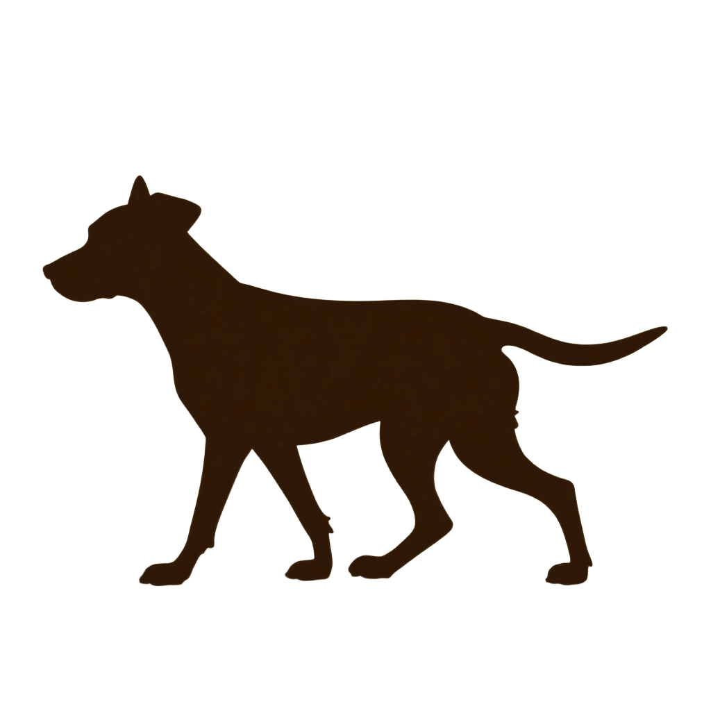 Silhouette of a Walking Dog